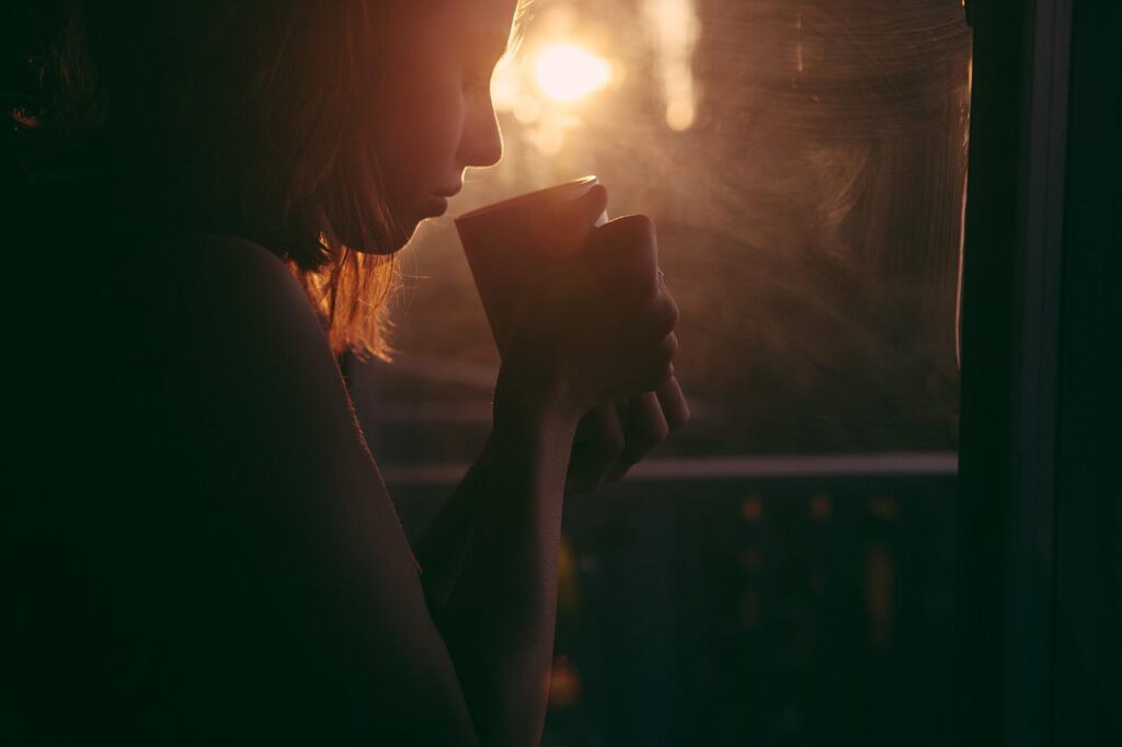 Yerba Mate in Beuteln – Vergleich