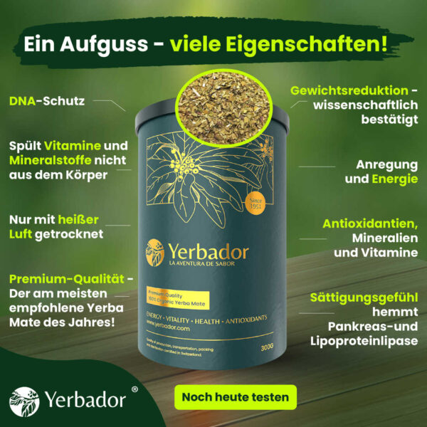 Yerbador Mate – Yerba-Mate-Tube + Matero-Becher + Bombilla-Trinkhalm – Bild 7