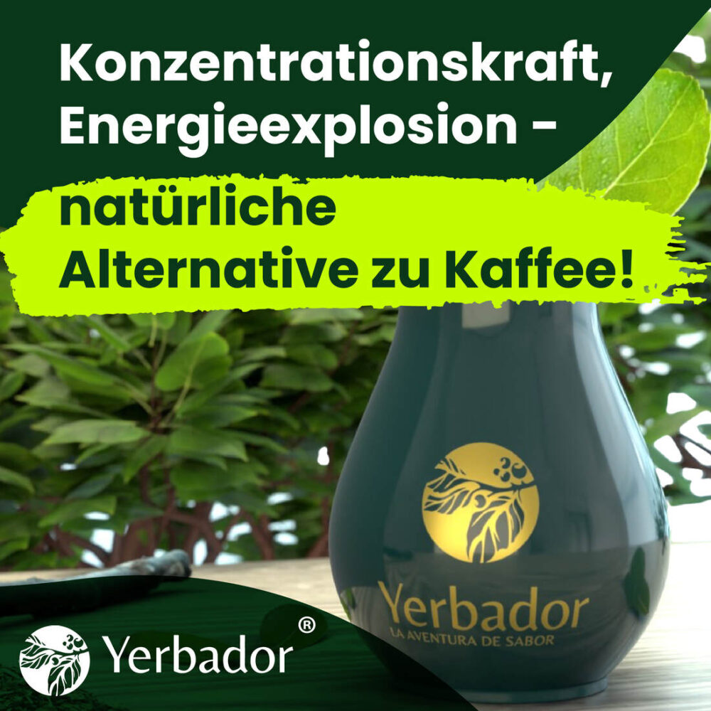 Yerba mate Yerbador – zitrusfrüchte – Bild 2